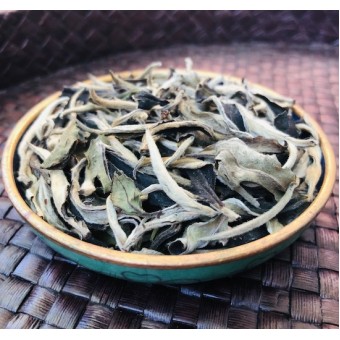 Белый чай Юэ Гуан Бай «Белизна Лунного Света»
