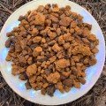 Купить Чага (березовый гриб) кусковой