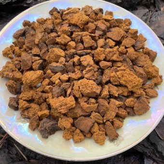 Чага (березовый гриб) кусковой