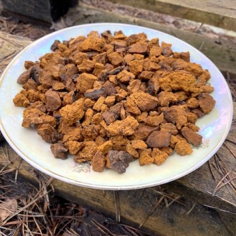 Чага (березовый гриб) кусковой