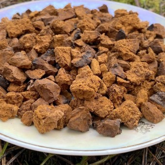 Чага (березовый гриб) кусковой