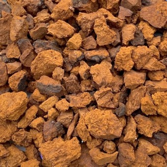 Чага (березовый гриб) кусковой