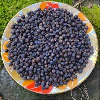 Купить Ягоды можжевельника сушёные 