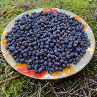 Ягоды можжевельника сушёные 