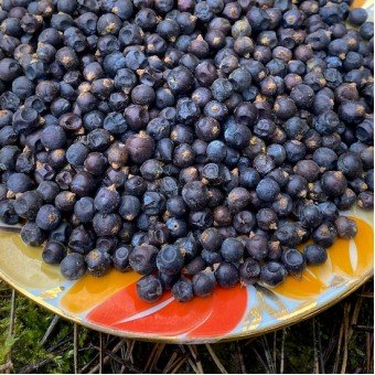 Ягоды можжевельника сушёные 