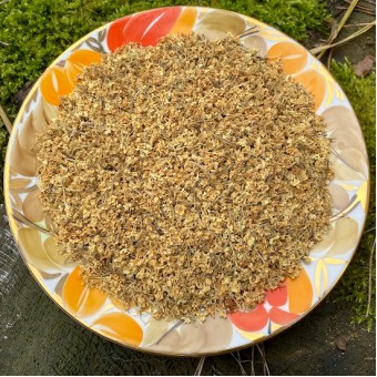 Купить Цветы бузины