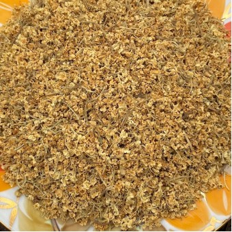 Цветы бузины