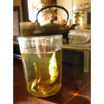 Горький целебный чай из листьев падуба «Кудин иглы»