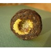 Черный мини шу пуэр с желтой хризантемой «Цзинлун» 