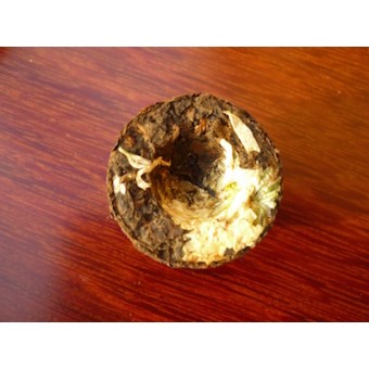 Черный мини шу пуэр с белой хризантемой «Цзинлун» 