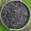 Северофуцзяньский утёсный улун Сяо У И Да Хун Пао «Большой красный халат из Малого У И» 