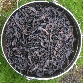 Купить Северофуцзяньский утёсный улун Сяо У И Да Хун Пао «Большой красный халат из Малого У И» 