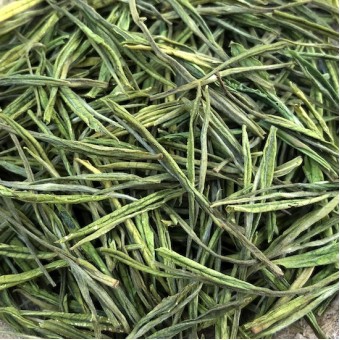 Зелёный чай Аньцзи Бай Ча «Альбинос из Аньцзи»