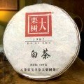 Прессованный белый чай Да Ли Шу Бай Ча «Большое Каштановое Дерево» мини-блин 100г.